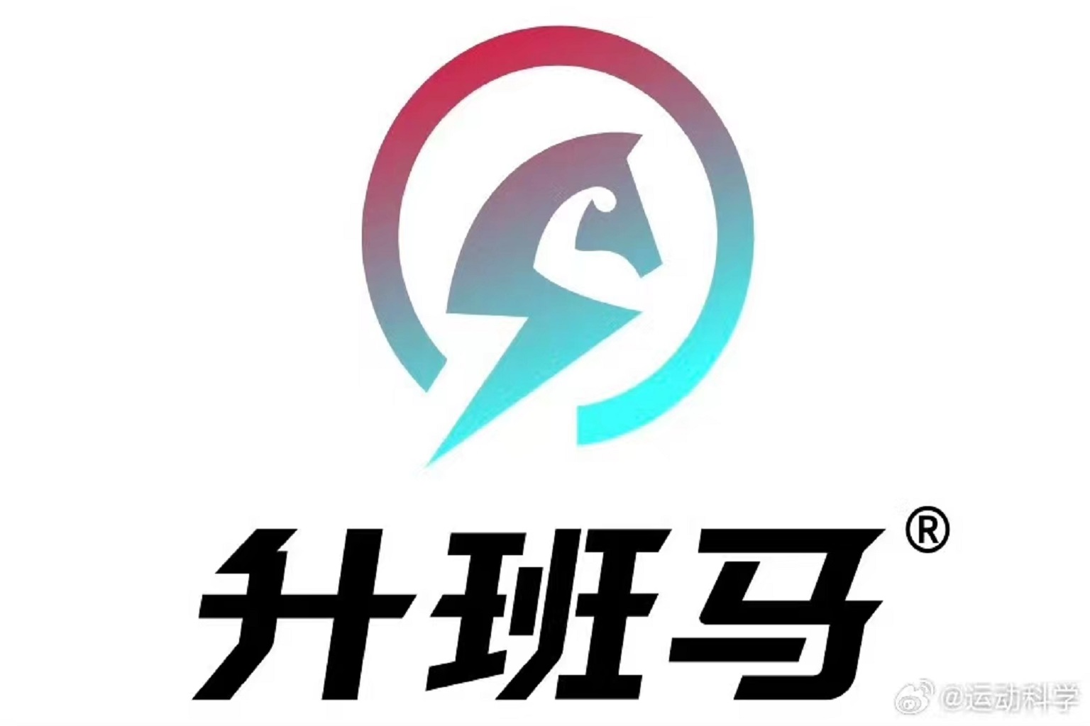 苦丁茶多肽蛋白复合运动营养粉 苦丁茶多肽蛋白复合运动营养粉